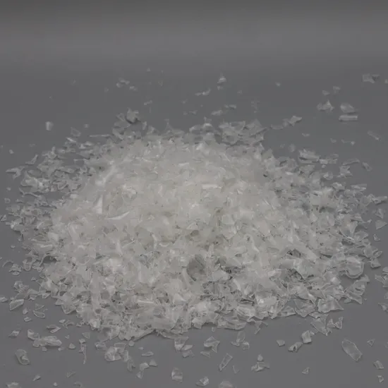 RPET Chip 
