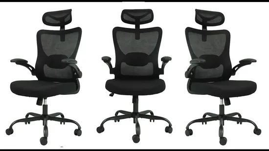 Ergonomic Furniture Adjustable Computer Gaming Desk Office Chair with High Back Mesh 