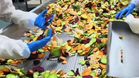 Healthy Crispy Vegetable Snacks Supplier Low Calories Sliced Shape Mixed Vegetable Chips 