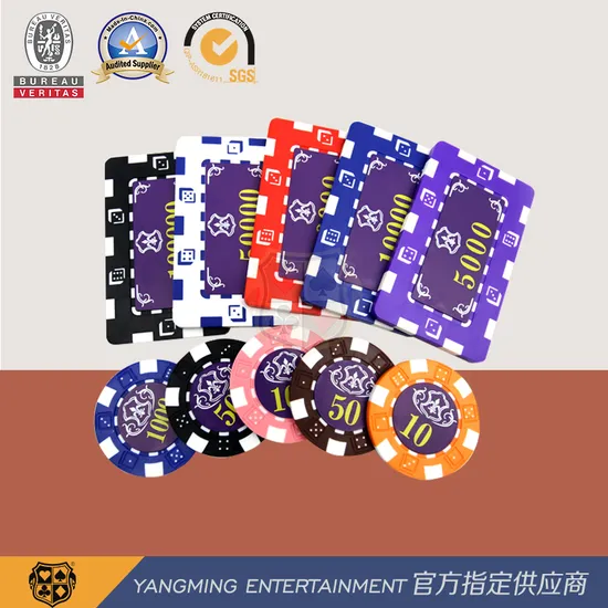 760 PCS Poker Chip Set Aluminum Dedicated Chips Carrier ABS Plastic Poker Clay Chip Case 