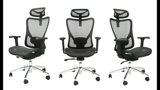 Quality Ergonomic Lumbar Support Big and Tall Office Mesh Chair with Headrest 